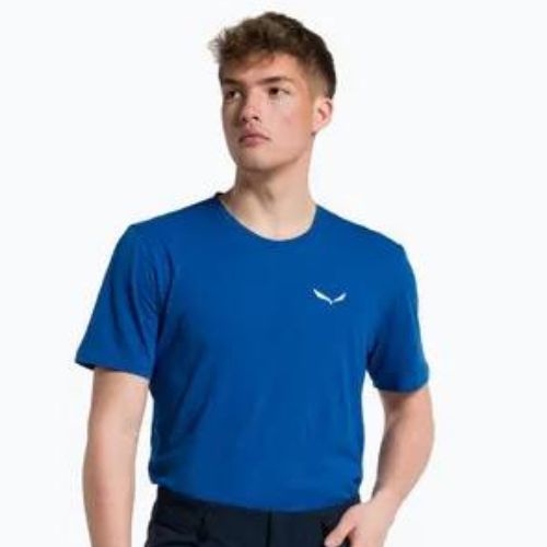 Vyriški trekingo marškinėliai Salewa Alpine Hemp Logo blue 00-0000028132