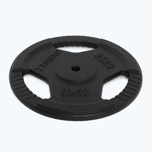 Ketaus apkrova XTREXO TRX-ICP025 25 kg chrom