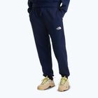 Vyriškos žygių kelnės The North Face Simple Dome Light Regular Tapered Jogger summit navy