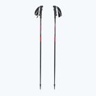 Slidinėjimo lazdos LEKI Hot Shot anodized black/eloxal gray/eloxal red