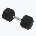XTREXO Hex HXD200 20 kg gumuoti hanteliai