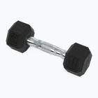 XTREXO Hex HXD25 gumuoti hanteliai 2,5 kg
