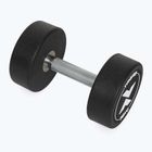 Gumuotas ketaus hantelis XTREXO Pro 16 kg black