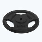 Ketaus apkrova XTREXO TRX-ICP025 25 kg chrom