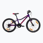 Kellys Lumi 30 20" vaikiškas dviratis violetinės spalvos 72390