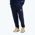 Vyriškos žygių kelnės The North Face Simple Dome Light Regular Tapered Jogger summit navy