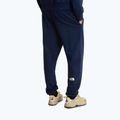Vyriškos žygių kelnės The North Face Simple Dome Light Regular Tapered Jogger summit navy 3