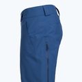 Vyriškos slidinėjimo kelnės Patagonia Insulated Powder Town clement blue 4