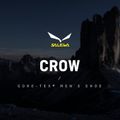 Salewa vyriški aukštakulniai batai Crow GTX rudi 00-0000061328 12