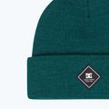 Vyriška žieminė kepurė DC Label deep teal 3
