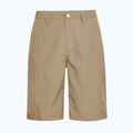 Vyriški trekingo šortai Jack Wolfskin Duneland hazel wood 8