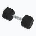 XTREXO Hex HXD100 gumuoti hanteliai 10 kg