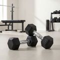 XTREXO Hex HXD25 gumuoti hanteliai 2,5 kg 3