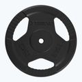 Ketaus apkrova XTREXO TRX-ICP025 25 kg chrom 3