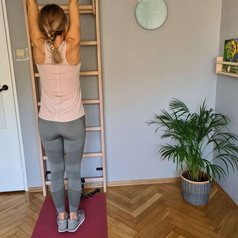 BenchK bronzinės gimnastikos kopėčios BK-111 10