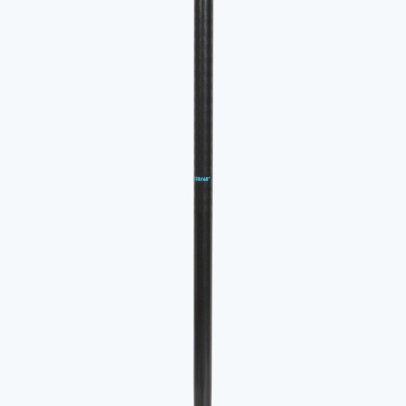 Slidžių lazdos HEAD Frontside carbon black/speed blue 4