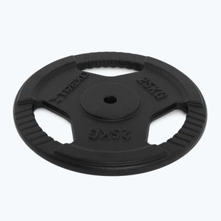 Ketaus apkrova XTREXO TRX-ICP025 25 kg chrom
